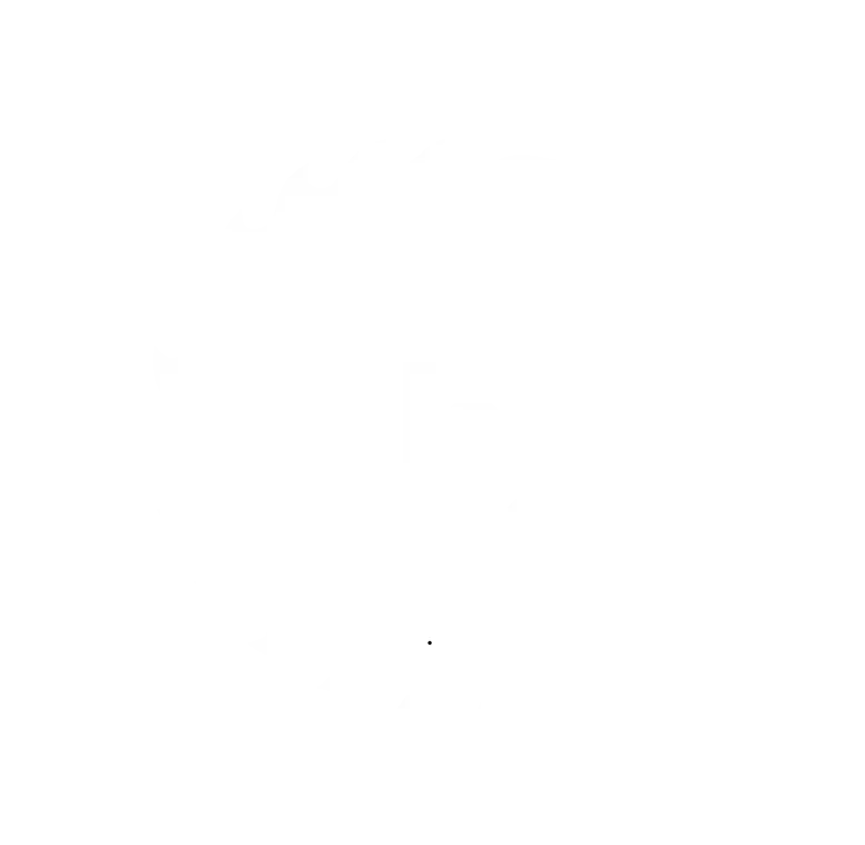 Logo Trinity Bianco Trasparente